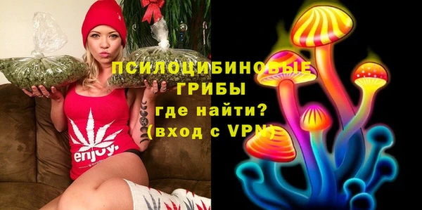mix Богородск