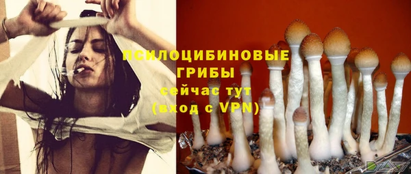 кокс Богданович
