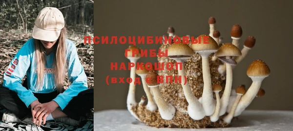хмурый Богородицк