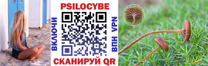 где можно купить наркотик  Дмитровск  Галлюциногенные грибы MAGIC MUSHROOMS 